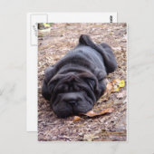 Ik ben allemaal uitgespeeld. briefkaart (Voorkant / Achterkant)