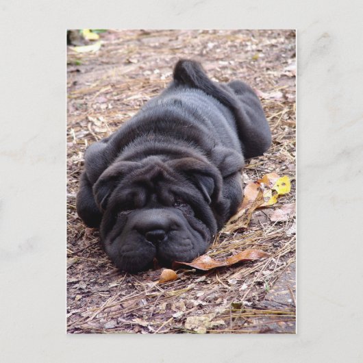 Ik ben allemaal uitgespeeld. briefkaart (Voorkant)