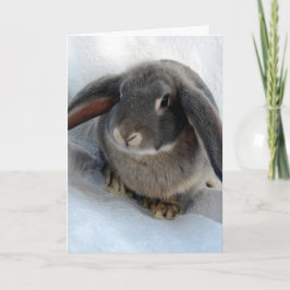 Ik ben allemaal voor jou. kaart