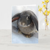 Ik ben allemaal voor jou. kaart (Gele Bloem)