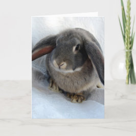 Ik ben allemaal voor jou. kaart