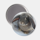 Ik ben allemaal voor jou. magneet (Voorkant / Achterkant)