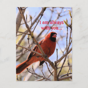 Ik ben altijd bij je... briefkaart