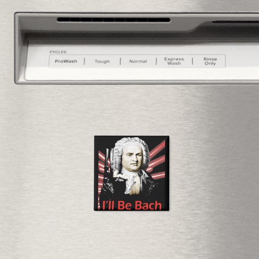 Ik ben Bach Magnet (Insitu (Vaatwasser))