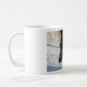 Ik ben Batcat Mok (Links)