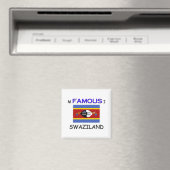 Ik ben beroemd in SWAZILAND Magneet (Insitu (Vaatwasser))
