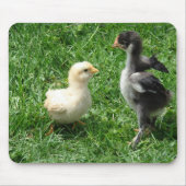 Ik ben beter dan jij muismat (Voorkant)