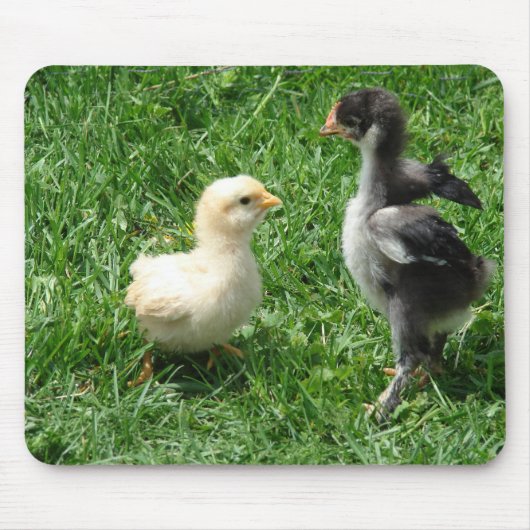 Ik ben beter dan jij muismat (Voorkant)