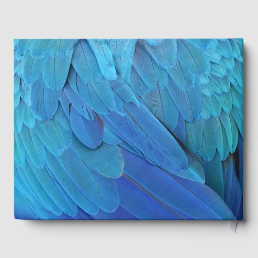 Ik ben blauw - papegaaiveren dicht bij elkaar gastenboek (Achterkant)