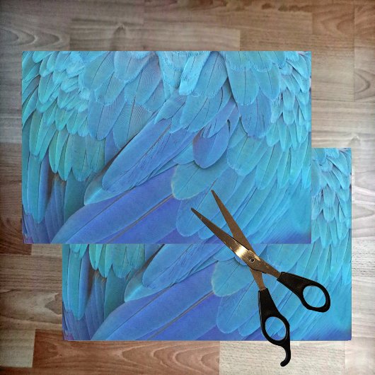 Ik ben blauw - papegaaiveren dicht bij elkaar tissuepapier