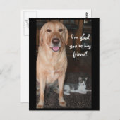 Ik ben blij dat je mijn vriend bent! briefkaart (Voorkant / Achterkant)