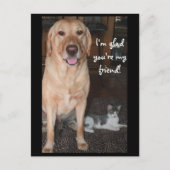 Ik ben blij dat je mijn vriend bent! briefkaart (Voorkant)