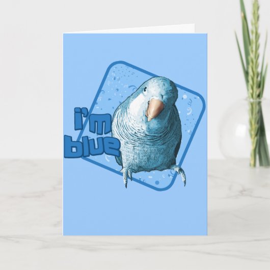 Ik ben Blue Quaker Parakeet Kaart (Voorkant)