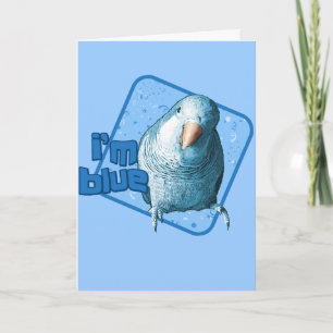 Ik ben Blue Quaker Paraket Card Kaart