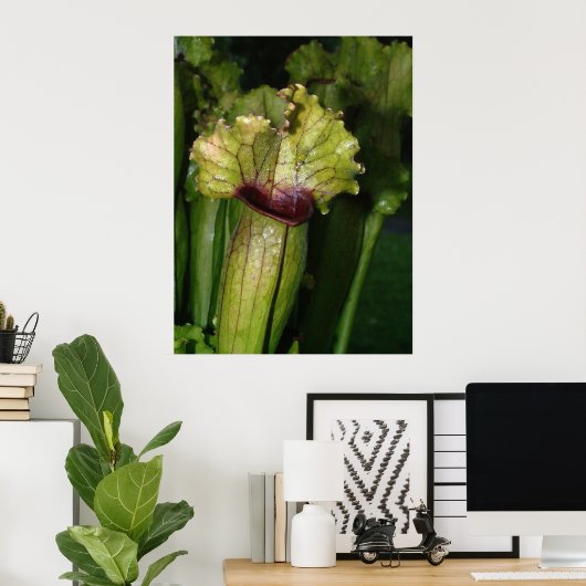 Ik ben carnivoren. poster (Thuiskantoor)