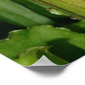 Ik ben carnivoren. poster (Hoek)