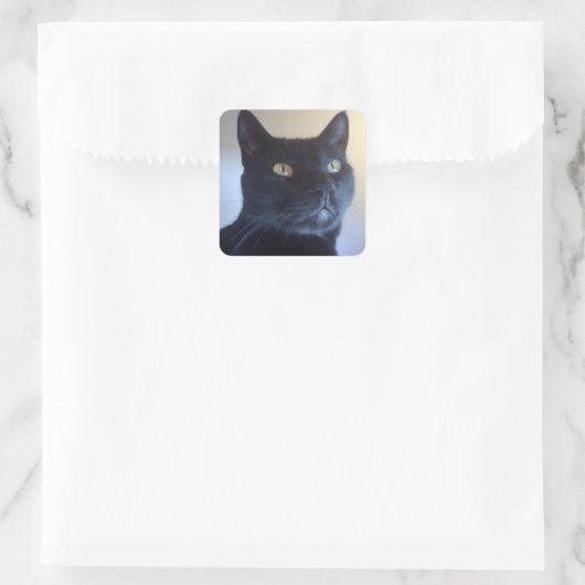 Ik ben Cat Sticker (Tas)