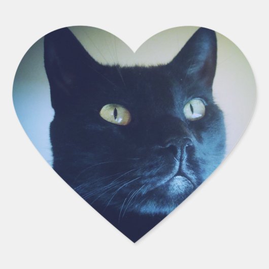 Ik ben Cat Sticker (Voorkant)