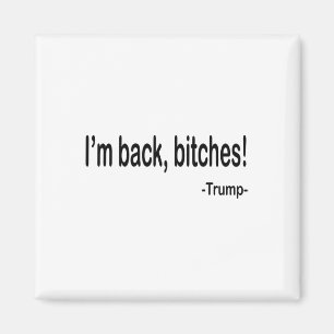 Ik ben CK ES Funny Trump 2024 Sarcastische Gezegde Magneet