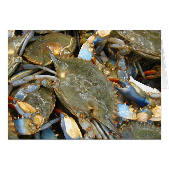 Ik ben Crabby. (Voorkant Horizontaal)