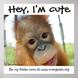 Ik ben Cute Baby Orangutan. Poster