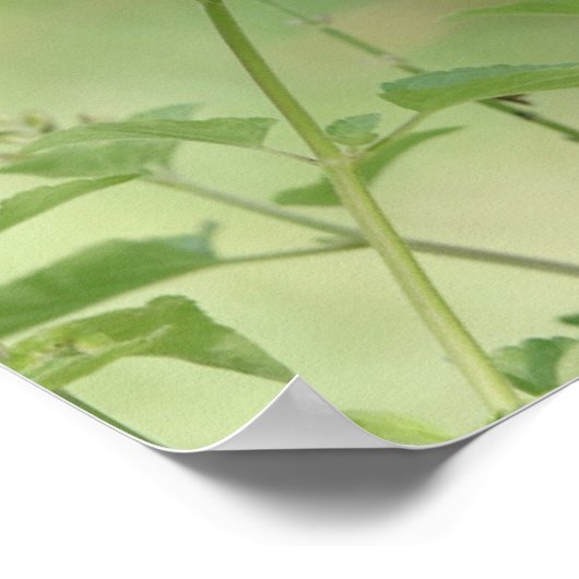 ik ben dankbaar voor deze dag , vlinder poster (Hoek)