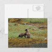 Ik ben de baas briefkaart (Voorkant / Achterkant)