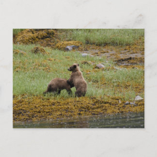 Ik ben de baas briefkaart