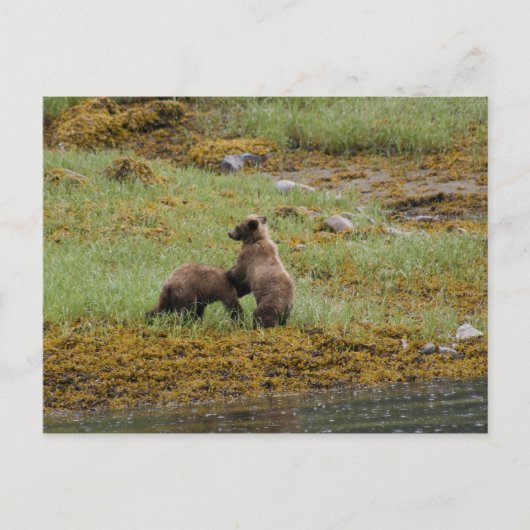 Ik ben de baas briefkaart (Voorkant)