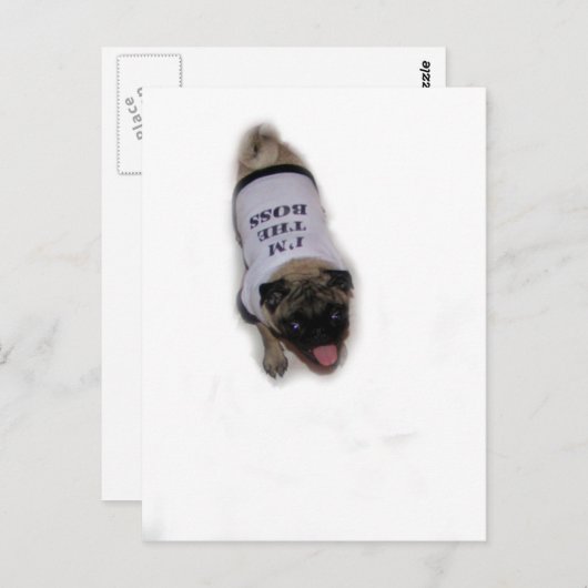 "Ik ben de baas" Briefkaart (Voorkant / Achterkant)