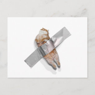 Ik ben de beste banaan! briefkaart