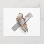 Ik ben de beste banaan! briefkaart (Voorkant)