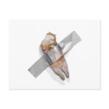 Ik ben de beste banaan!