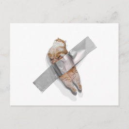 Ik ben de beste banaan! briefkaart