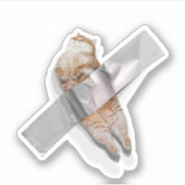 Ik ben de beste banaan! sticker (Voorkant)