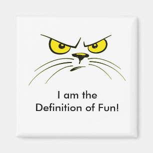 Ik ben de Definitie van Fun! / Kat Magnet