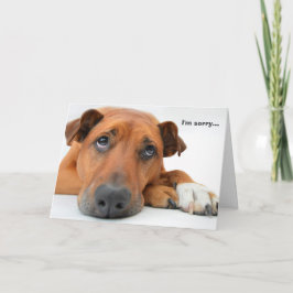 Ik ben de Droevige Kaart van de Hond