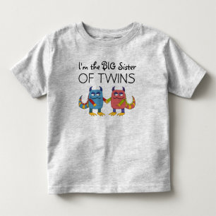 Ik ben de grote zus van de tweeling kinder shirts