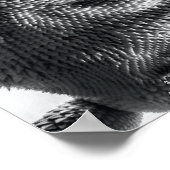 "Ik ben de hagedis koning" Zwarte en Witte Hagedis Poster (Hoek)