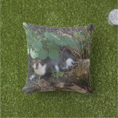 Ik ben de onzichtbare kat buitenkussen (Gras)
