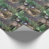 Ik ben de onzichtbare kat cadeaupapier (Hoek)