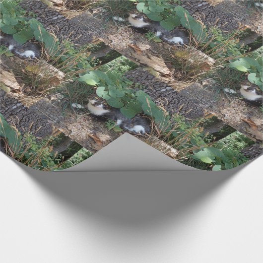 Ik ben de onzichtbare kat cadeaupapier (Hoek)