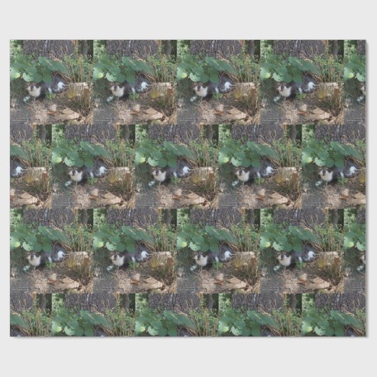 Ik ben de onzichtbare kat cadeaupapier (Vlak)