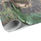 Ik ben de onzichtbare kat cadeaupapier (Rol Hoek)