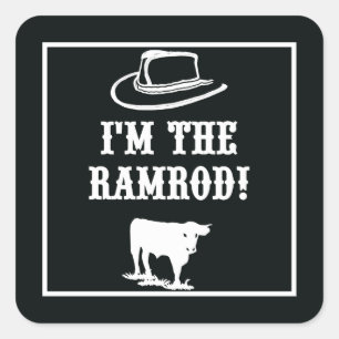 Ik ben de RAMROD. Vierkante Sticker