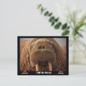 Ik ben de Walrus, een bedreigd dier - Briefkaart (Staand voorkant)