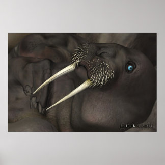 Ik ben de Walrus Poster