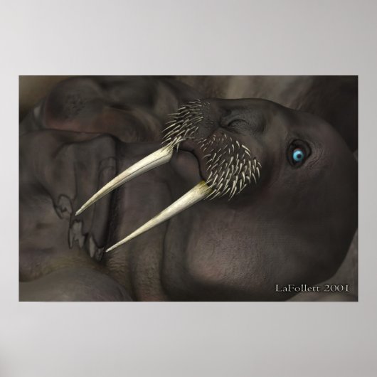 Ik ben de Walrus Poster (Voorkant)