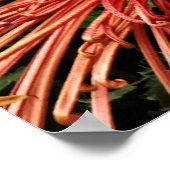 Ik ben de weg en de waarheid poster (Hoek)