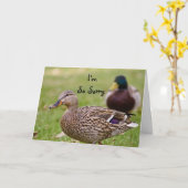 Ik ben de zo Droevige Kaart van de Eend (Gele Bloem)